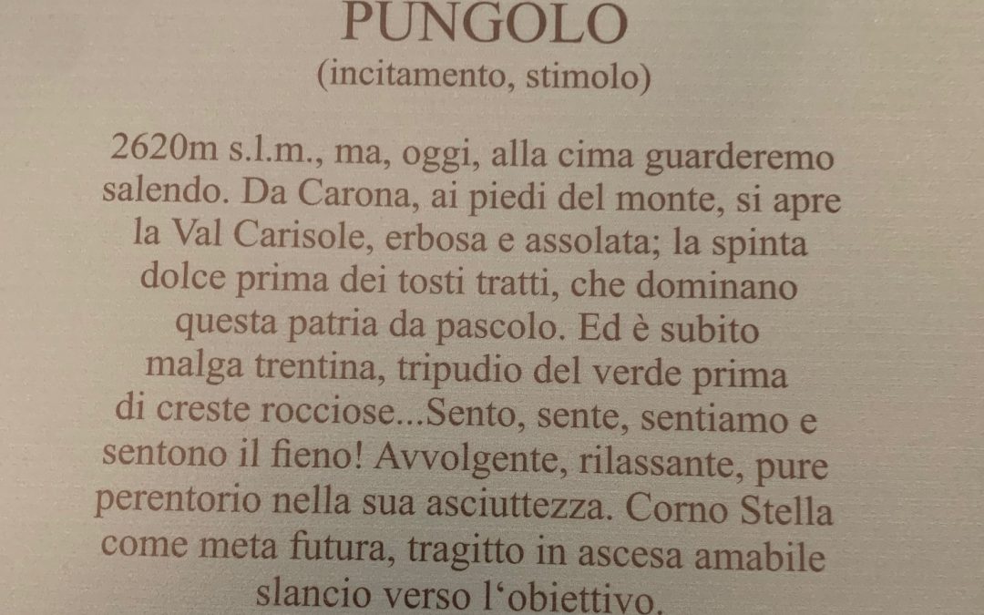 Fragranze monti Val Brembana: per ambienti,bucato,tessuti!
